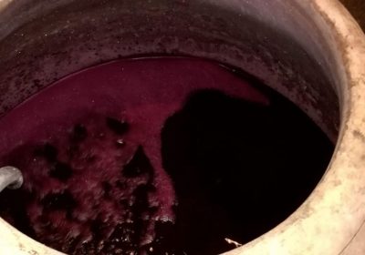 ASAJA Socuéllamos pide destilación de 9 millones de hectolitros de vino