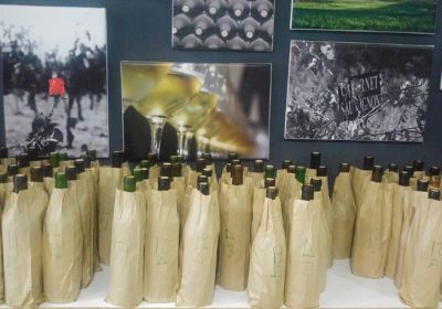 Lanzamiento de la guía de vinos monovarietales Wine Up!