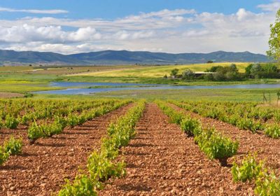 Más calor y menos lluvia en Daimiel (Ciudad Real)