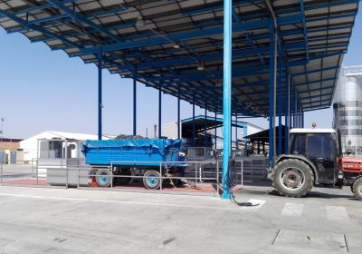 La Cooperativa El Progreso, de Villarrubia de los Ojos, generalizará la vendimia a partir del 13 de septiembre