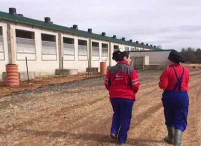 Denuncian una campaña de “acoso y desprestigio” contra ganaderos de porcino