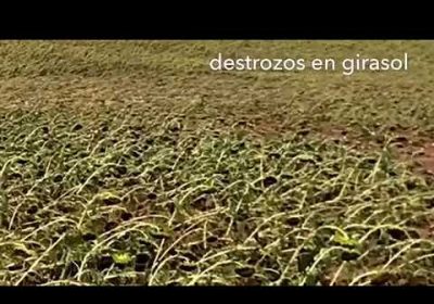 Inundaciones en los cultivos de la provincia de Cuenca