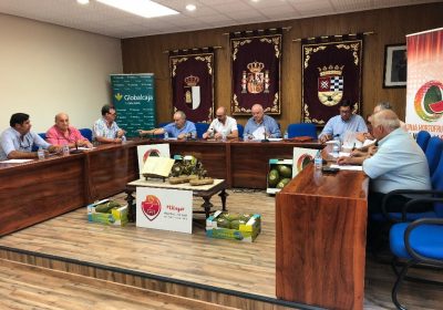 Los precios del melón de Castilla-La Mancha siguen cayendo pese a la calidad de la fruta