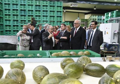 Apuesta por garantizar futuro de sectores como melón y sandía