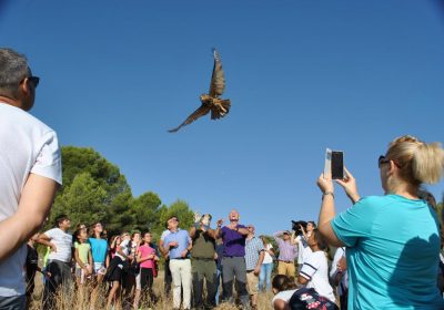Contrarán a 50 nuevos trabajadores para Centro de Recuperación de Aves