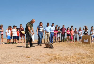 Recuperadas 2.500 aves al año en los centros de Castilla-La Mancha