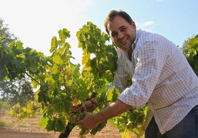 El precandidato del PP Paco Núñez vendimia en Socuéllamos (Ciudad Real) Paco Núñez vendimia
