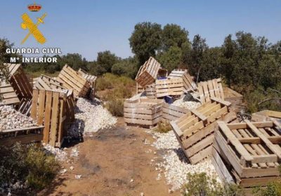 Recuperan 15.000 kilos de ajo de los 33.000 robados