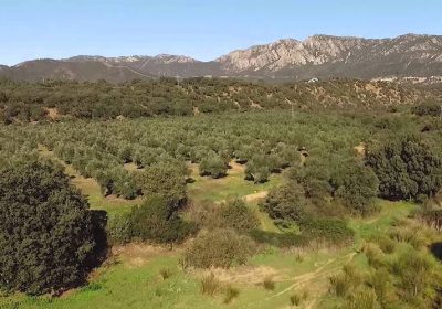 Aprobado PRUG Parque Natural ‘Valle de Alcudia y Sierra Madrona’