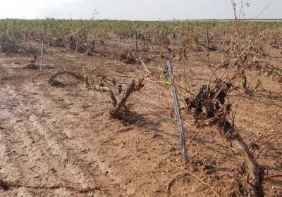 UPA analiza los siniestros por las tormentas recientes en Albacete