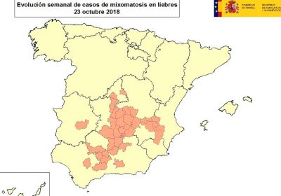 La mixomatosis alcanza ya a liebres de 12 provincias en 5 Comunidades Autónomas