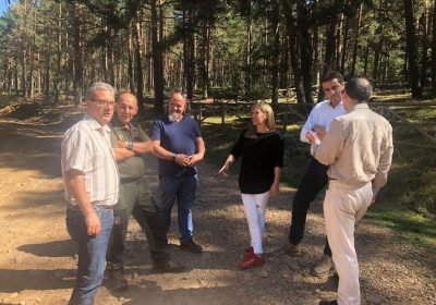 500.000 euros para limpiar y evitar plagas en montes Guadalajara