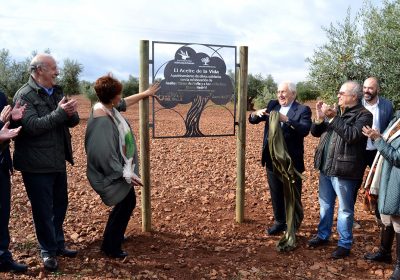 DO Aceite Campo de Calatrava inaugura su primer olivar solidario