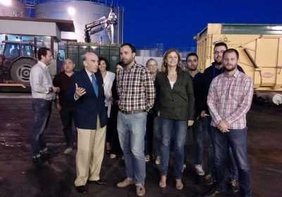 La cooperativa Virgen de las Viñas de Tomelloso espera terminar la campaña con un 30% más de uva que la anterior