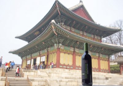 Los vinos de la Denominación de Origen La Mancha cierran su promoción exterior de 2018 en Asia