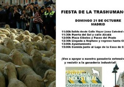 Movimientos vecinales y organizaciones dirán «Sí a trashumancia, stop macrogranjas»
