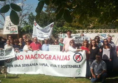 Pueblos Vivos Cuenca continúa su lucha contra las macrogranjas de porcino
