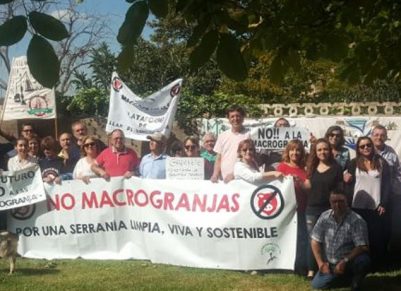 Pueblos Vivos Cuenca continúa su lucha contra las macrogranjas de porcino