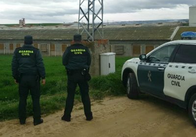 Dos detenidos y dos investigados por robo con violencia en nave agrícola Guardia Civil