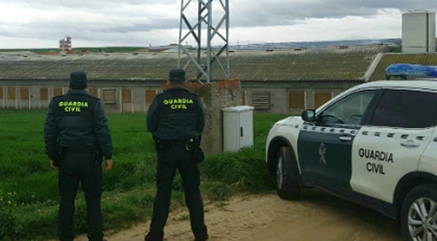 Entra en vigor la ley que endurece las penas por hurtos en explotaciones agrarias Guardia Civil