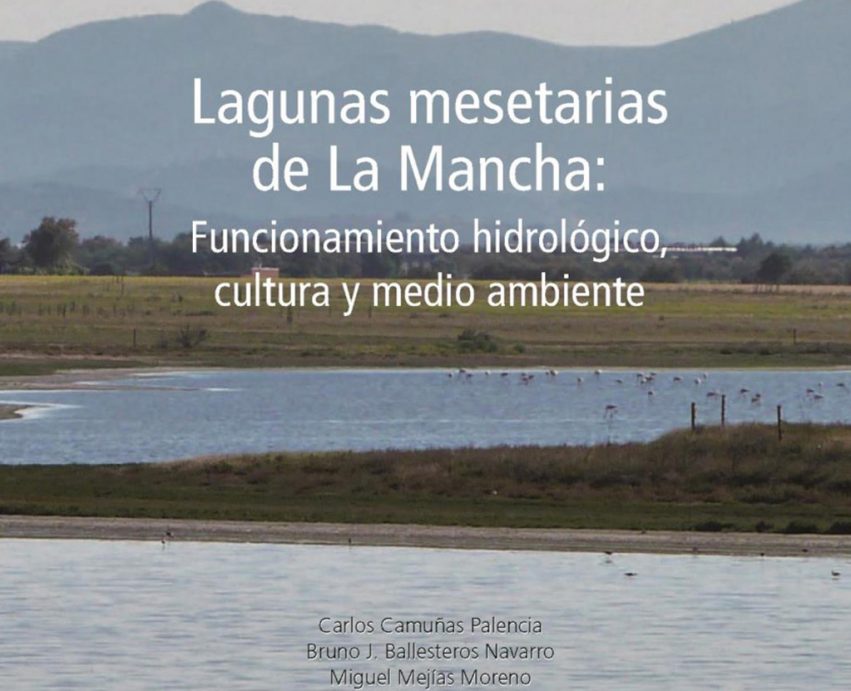 laguna fuera