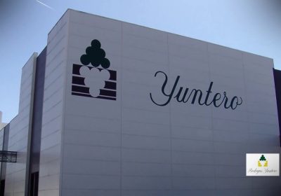 Bodegas Yuntero, récord de producción en la vendimia 2018