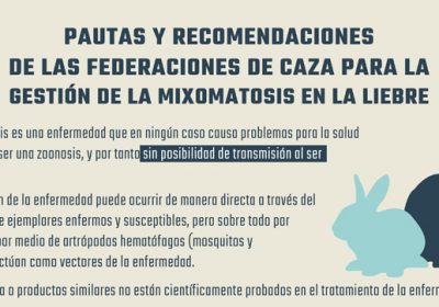 Continúan trabajando para atajar situación de la mixomatosis en las liebres