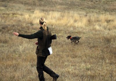 Comienza la media veda de caza en Castilla-La Mancha