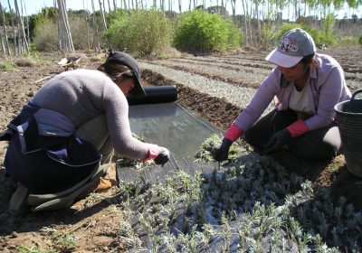 Destaca la incorporación a la actividad agraria de las mujeres castellano-manchegas