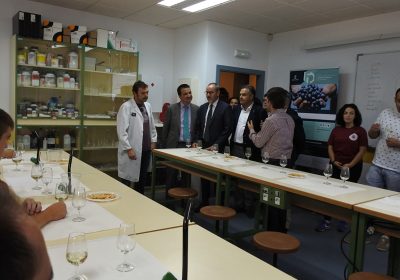 Impulsan formación de futuros enólogos a través del Grado Superior Vitivinicultura