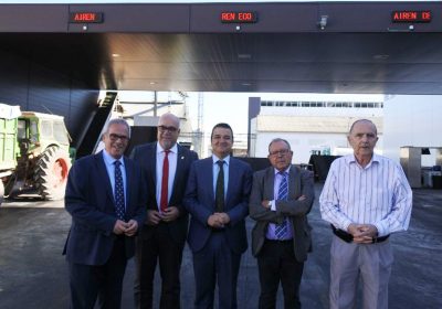 Castilla-La Mancha, líder en viñedo ecológico, con 55.500 hectáreas