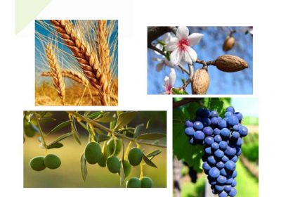 Jornada sobre asesoramiento y gestión de seguros agrarios