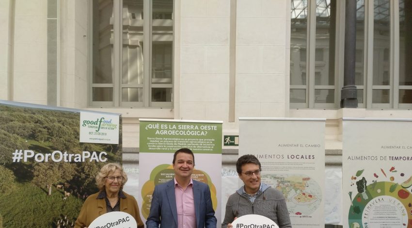 Castilla-La Mancha, en celebración de 600 años de la trashumancia