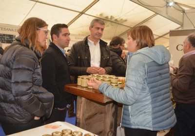 Consuegra (Toledo) celebra la Fiesta de la Rosa del Azafrán