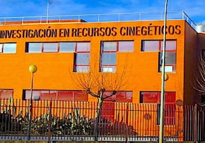 Investigadores IREC avanzan en uso aves rapaces como centinelas contaminación química