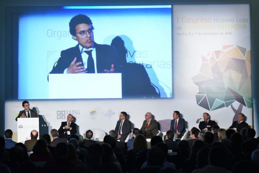 181108fmirandasevilla3_tcm30-485294