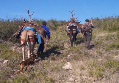 Carne silvestre, clave para el desarrollo rural. Carne Silvestre de España y Asiccaza