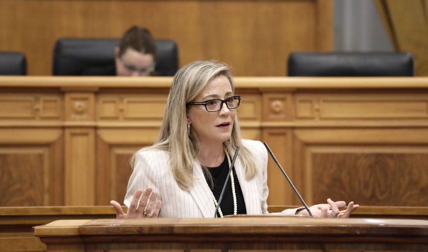 Merino durante su intervención en el Pleno de las Cortes Regionales