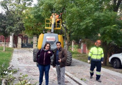 La campaña de poda de Ciudad Real llegará a 14.000 árboles