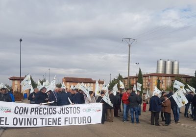 Ganaderos de Castilla y León demandan mejores precios leche de oveja