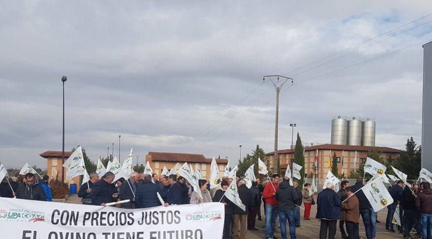 Ganaderos de Castilla y León demandan mejores precios leche de oveja