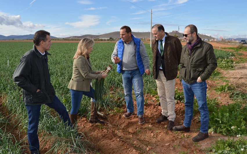 Visita explotación cebolletas en Consuegra - 241118 (3)