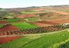 PP Castilla-La Mancha recuerda que el proyecto de la presa de Montizón se aprobó hace doce años parcelas