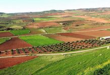 PP Castilla-La Mancha recuerda que el proyecto de la presa de Montizón se aprobó hace doce años parcelas