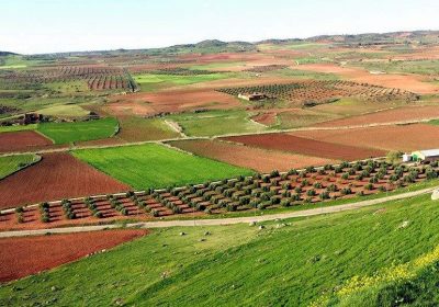 Desde 1 noviembre. Comunicación cesión derechos PAC parcelas