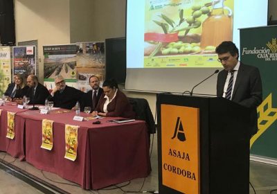 Destaca las grandes oportunidades de futuro del sector del olivar