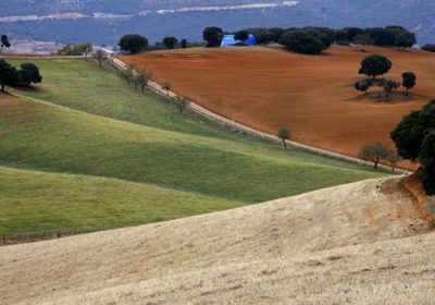 UPA pide “pasar a la práctica” en lucha contra cambio climático