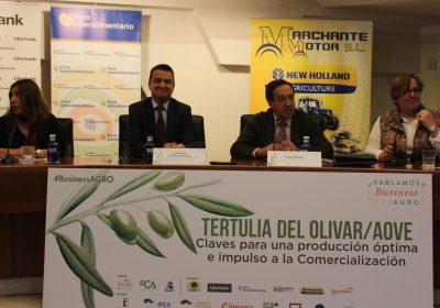 Defiende ayudas acopladas de PAC para olivar de bajo rendimiento