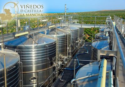 Viñedos de Castilla-La Mancha comercializará vinos a granel