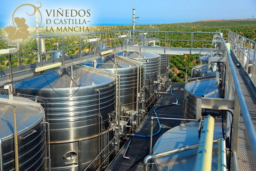 vinedos-de-castilla-la-mancha-9-vinos-premium-a-granel